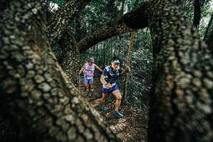 BIB: 
                            <button type="button" onclick="openModal(25392305)" class="btn btn-primary btn-sm float-right btn-popup" data-toggle="modal" data-target=".modal-high-quality">
                        <i class="fas fa-shopping-cart"></i> Add to Cart
                    </button>
                                            <button type="button" onclick="isThisMe(25392305, true)" class="btn btn-success btn-sm float-right btn-popup btn-isme hidden" data-toggle="tooltip" data-placement="bottom" title="นี่คือรูปของคุณใช่ไหม คลิกที่นี่เพื่อเอาเข้าอัลบั้ม">
                        <i class="fas fa-plus"></i> Add to album
                    </button>
                    <button type="button" onclick="isThisMe(25392305, false)" class="btn btn-warning btn-sm float-right btn-popup btn-isnotme hidden">
                        <i class="fas fa-ban"></i> Remove from album
                    </button>